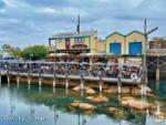 DCA crowds pacific wharf-micechat