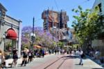 Disney California Adventure Red Car Trolley Tracks