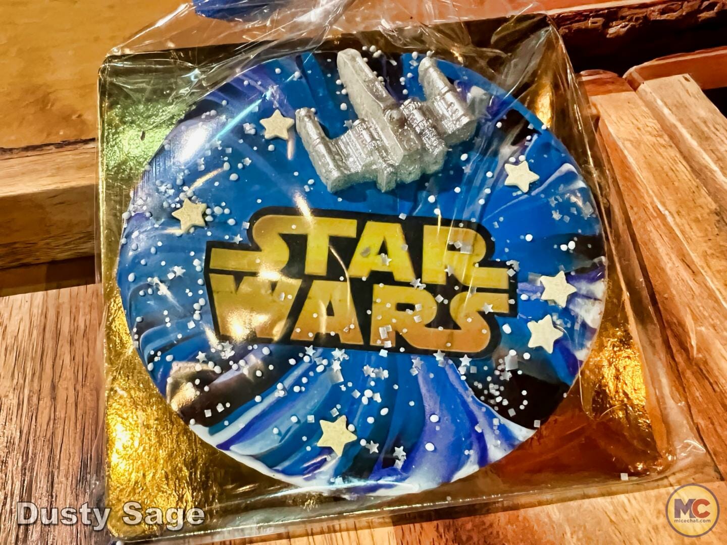 , DISNEYLAND UPDATE – The Cost of Magic & Project Gateway
