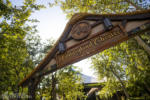Disneyalnd Fantasyland Theatre Tale of the Lion King show construction installation marquee DSC_3746-4K