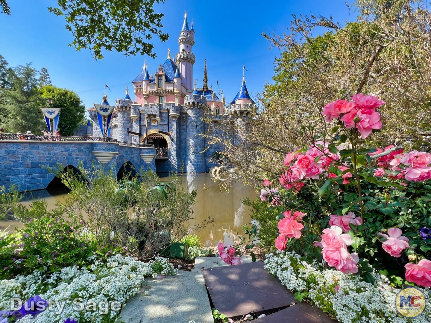 , Disneyland Update – More Entertainment, More Construction, More Reservations