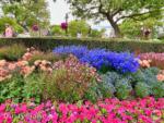 Disneyland Flowers Hub 1-micechat