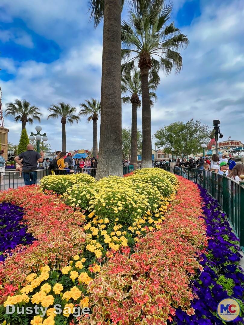 , DISNEYLAND UPDATE – The Cost of Magic & Project Gateway