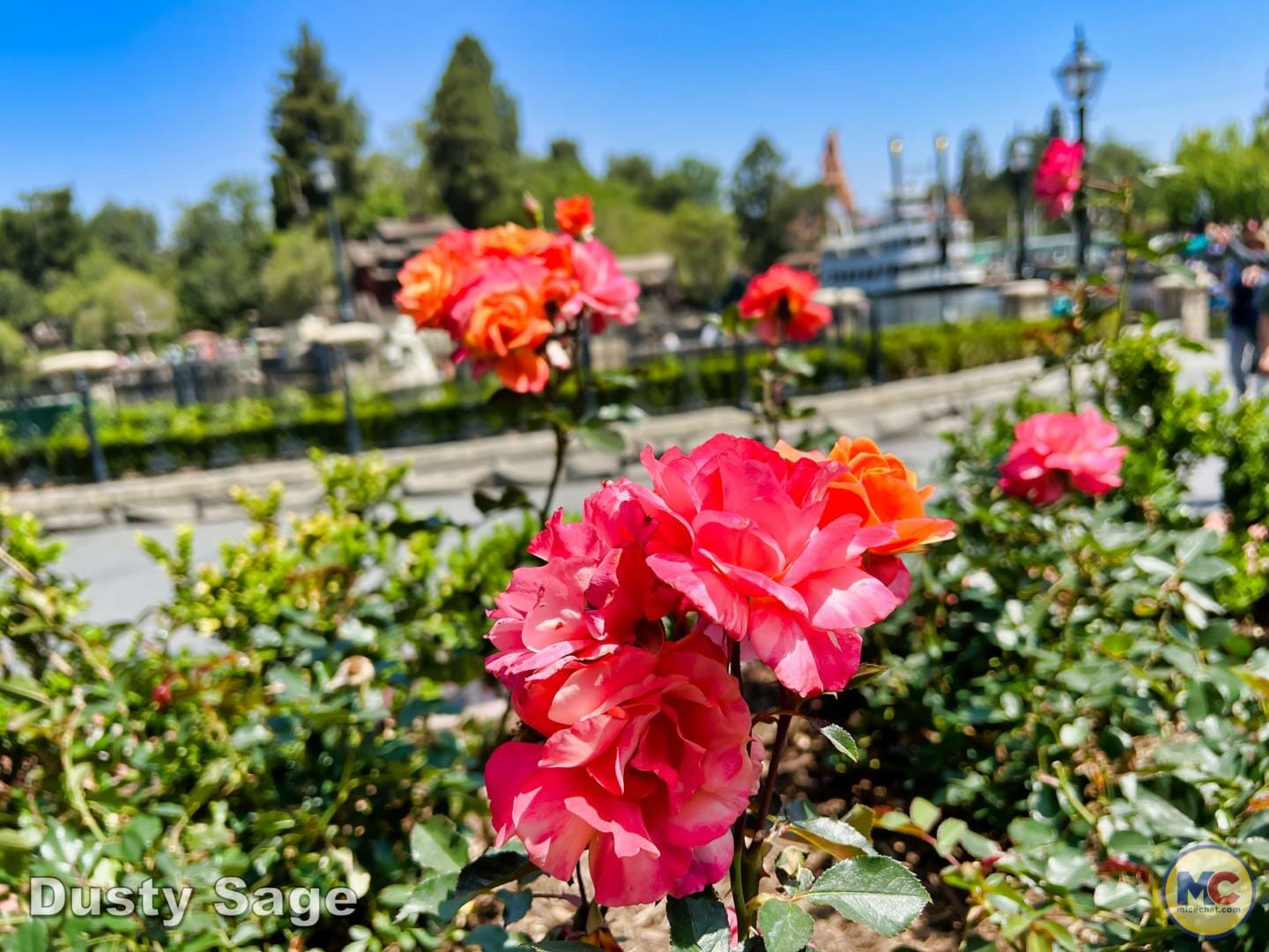 , Disneyland Update – Imagination Resurfacing, Racers Down, New to Batuu