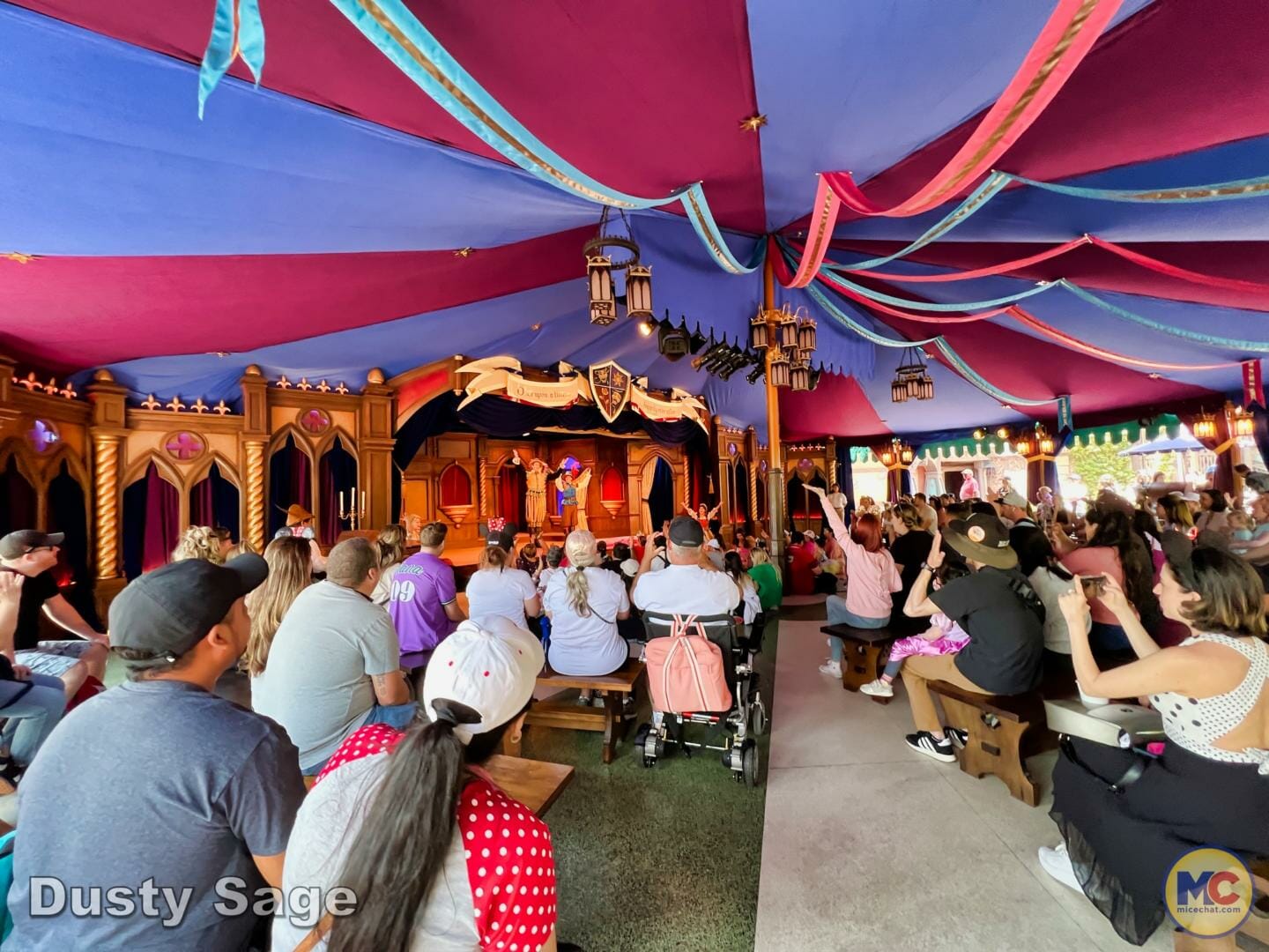 , Disneyland Update – More Entertainment, More Construction, More Reservations