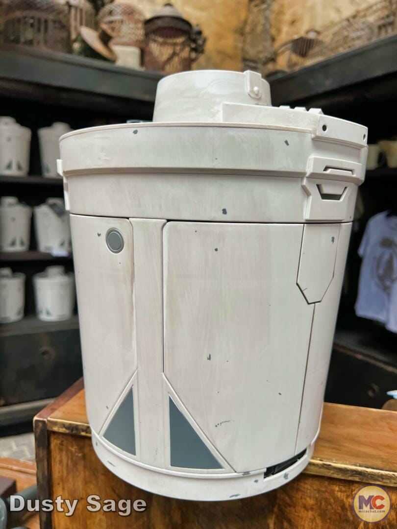 , Disneyland Update – Imagination Resurfacing, Racers Down, New to Batuu
