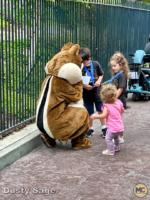 Disneyland characters chipmunks-micechat