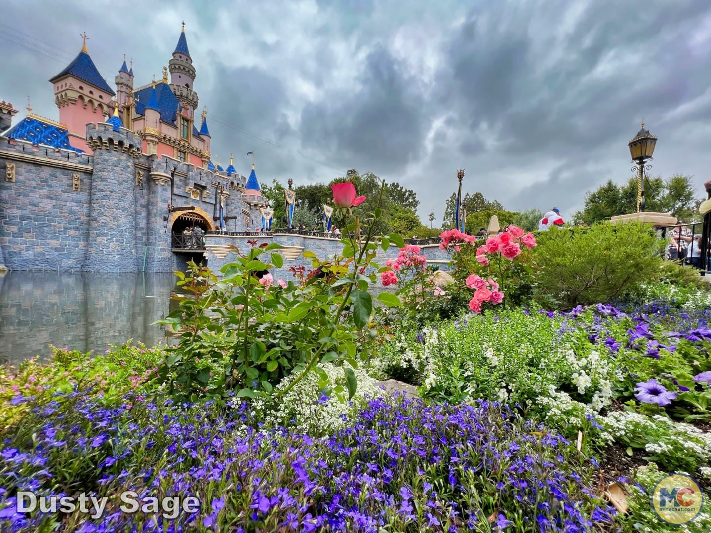 , DISNEYLAND UPDATE – The Cost of Magic & Project Gateway