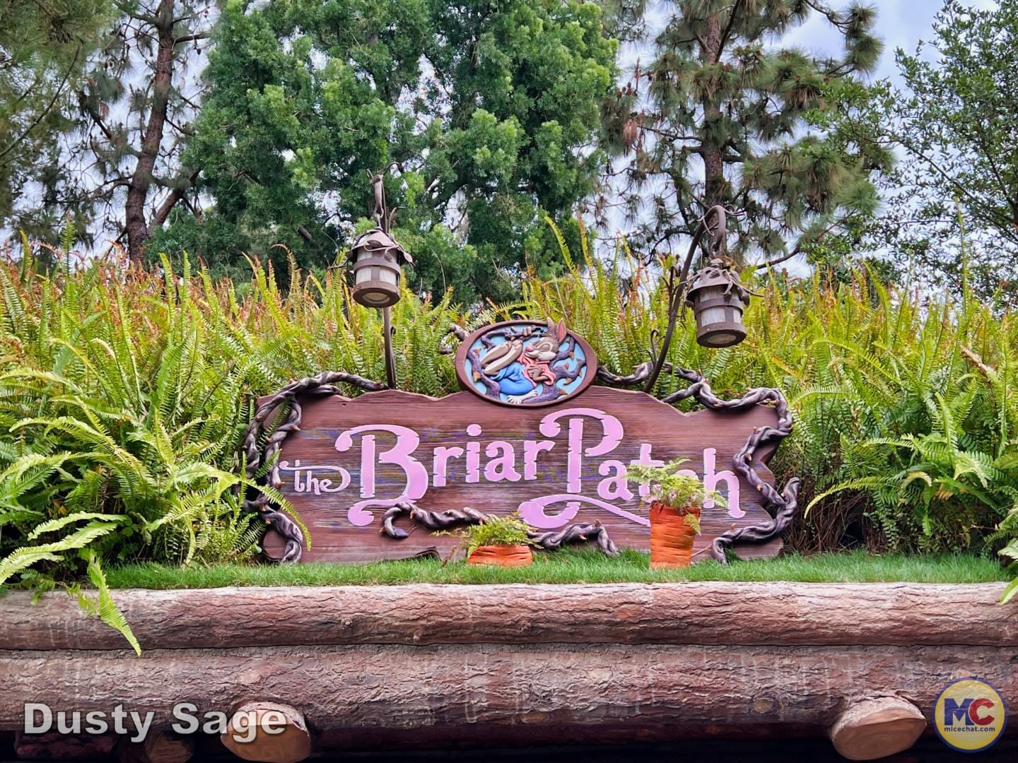 , DISNEYLAND UPDATE – The Cost of Magic & Project Gateway