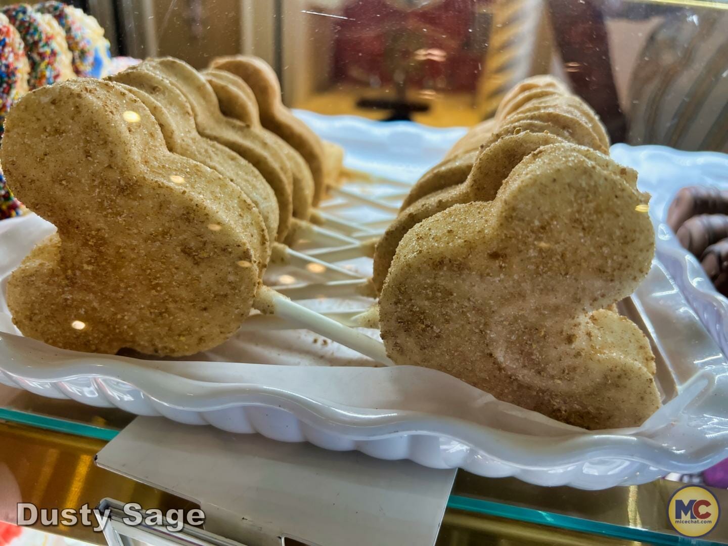 , Disneyland Update – Imagination Resurfacing, Racers Down, New to Batuu