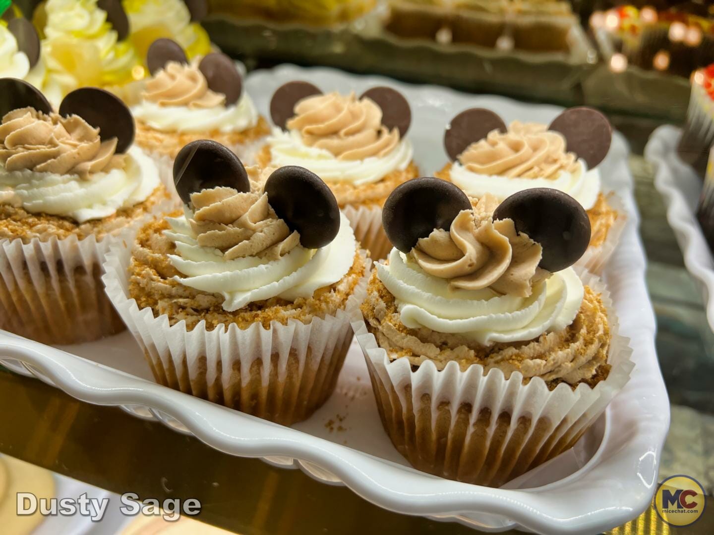 , Disneyland Update – Imagination Resurfacing, Racers Down, New to Batuu