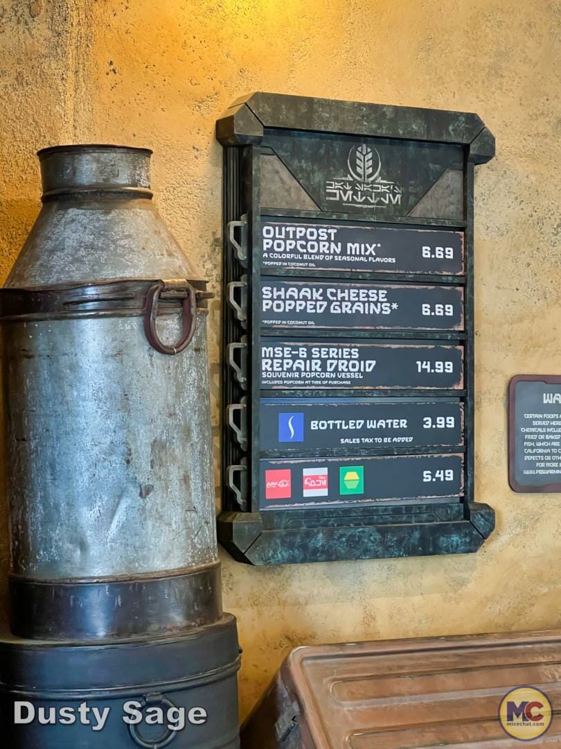 , Disneyland Update – Imagination Resurfacing, Racers Down, New to Batuu