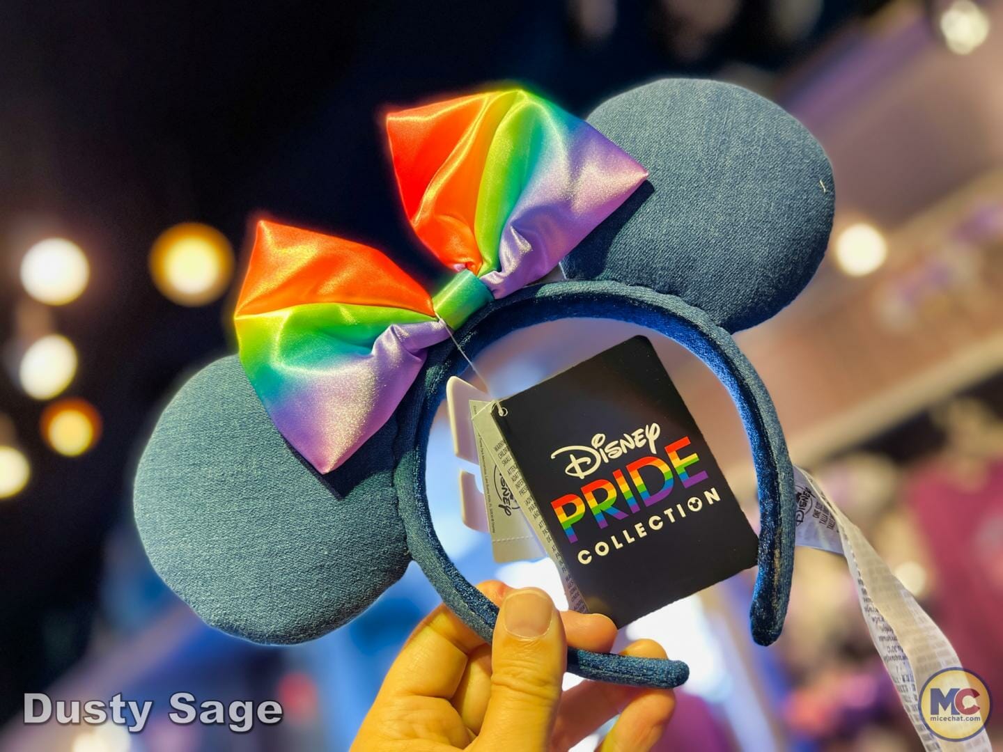 , DISNEYLAND UPDATE – The Cost of Magic & Project Gateway