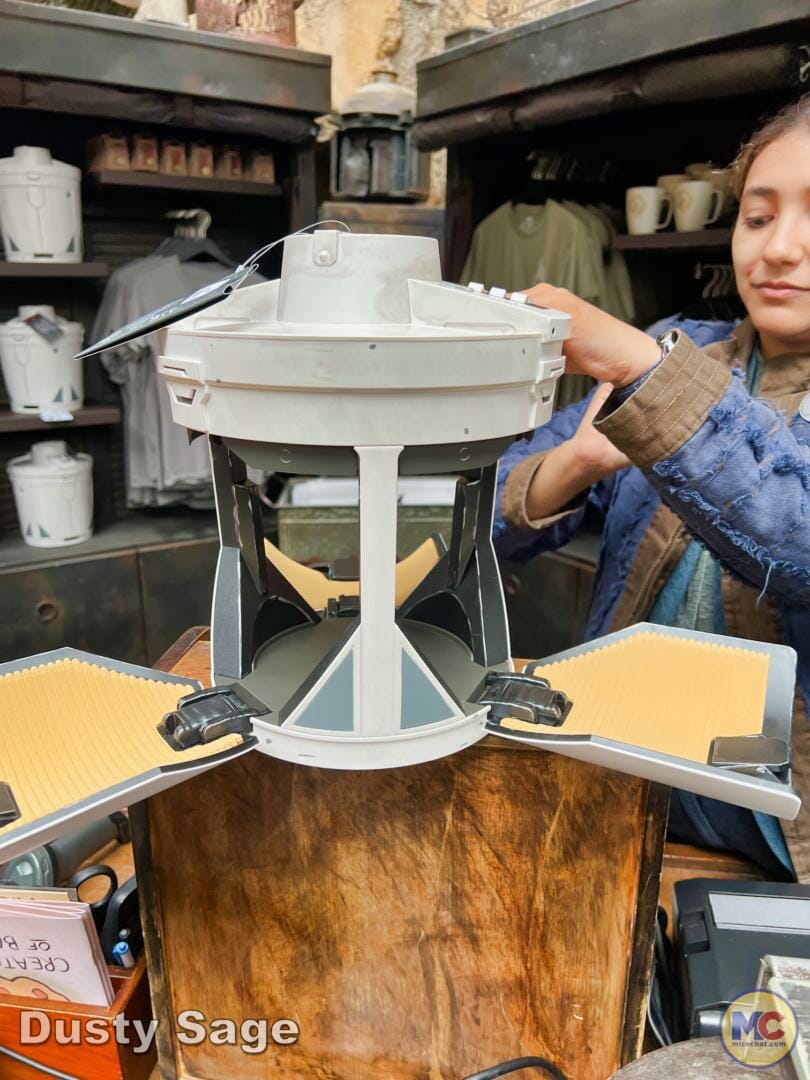 , Disneyland Update – Imagination Resurfacing, Racers Down, New to Batuu