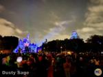 Disneyland views castle night sky-micechat