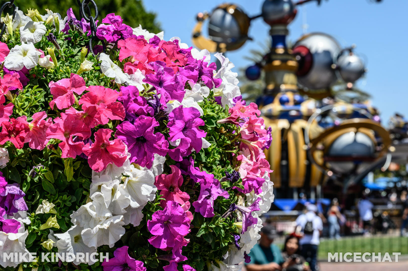 , Disneyland News Update: Feeling the Force&#8230; Of Change!