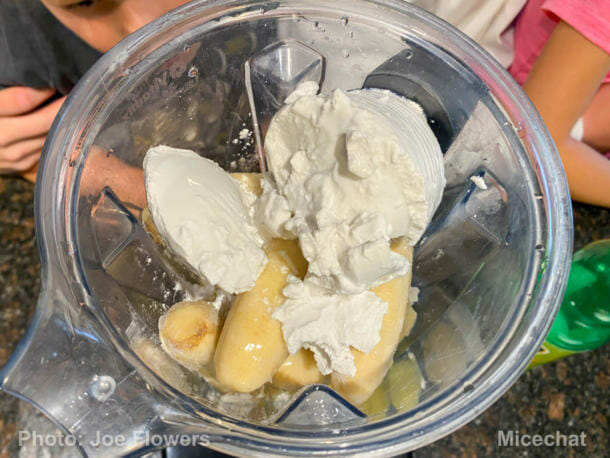 Dole Whip, Disney Taste Test! Comparing 3 Official DIY Dole Whip Recipes