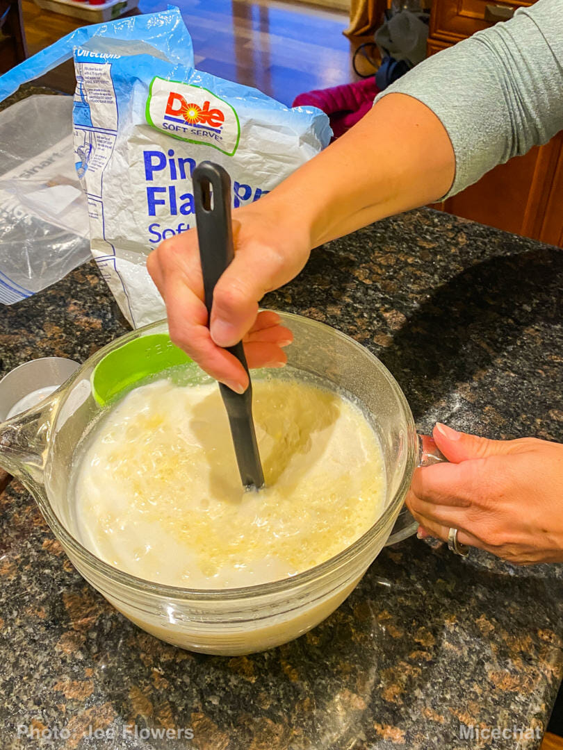 Dole Whip, Disney Taste Test! Comparing 3 Official DIY Dole Whip Recipes