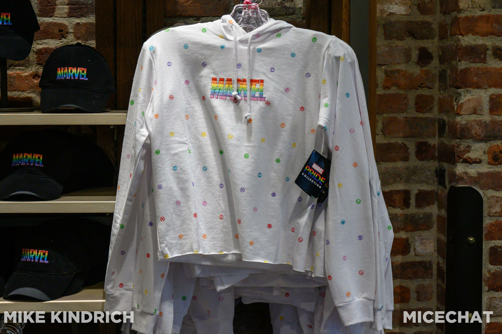 Disney Pride Collection, Disneyland Food &#038; Merchandise Update: Show Your True Colors &#038; More!