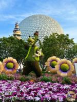 EPCOT Flower and Garden Front Goofy