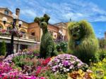 EPCOT Flower and Garden Lady and the Tramp