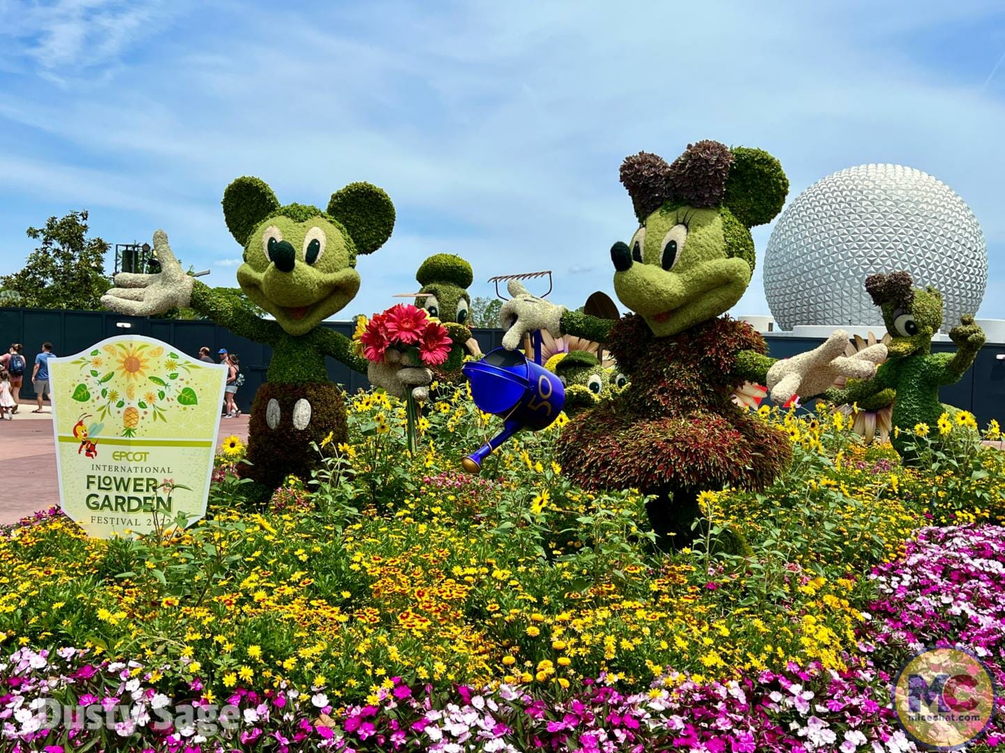 , Walt Disney World Update: Launch Pattern & Genie Restrained