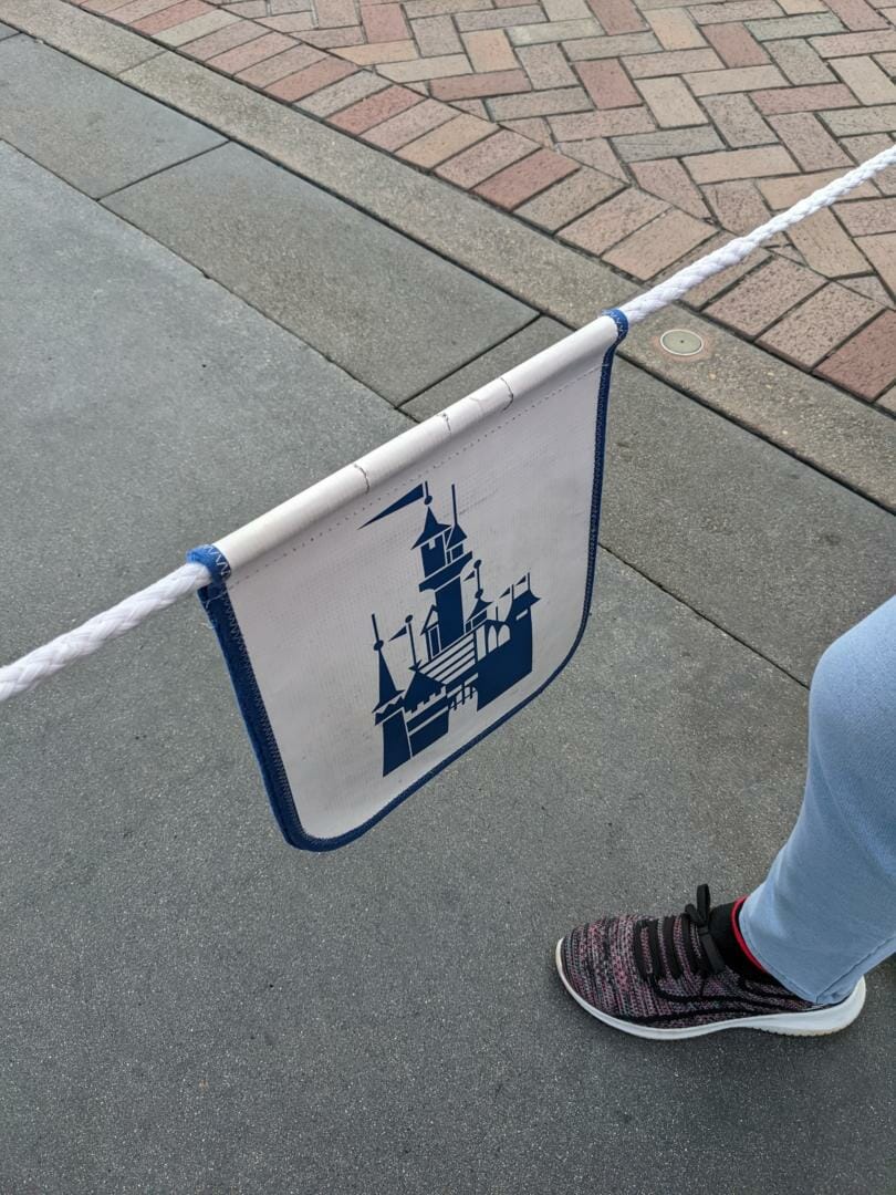 Top 5 Disneyland Tips: Rope Drop Morning 5 Disneyland Tips, New Advice: Top 5 Disneyland Tips for Visiting in 2022