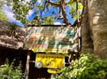 Photo_1Animal Kingdom Kilimanjaro Safaris Lightning Lane