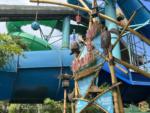 Universal-orlando-Volcano-Bay-theme-park-ika-moana