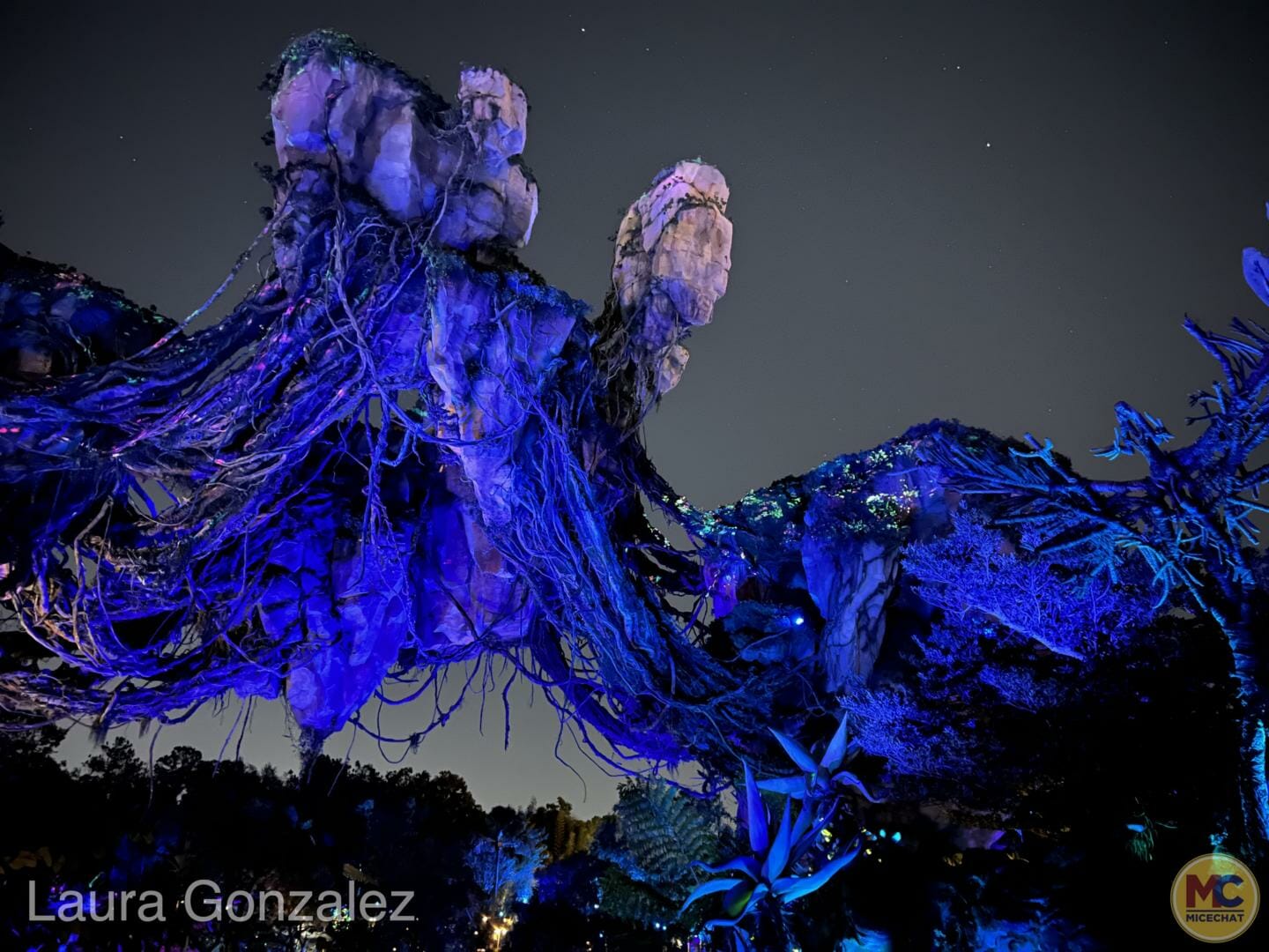 , Walt Disney World Update: Launch Pattern & Genie Restrained