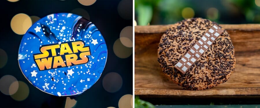 , Star Wars Day in the Disney Parks &#8211; MAY THE 4TH BE WITH YOU!