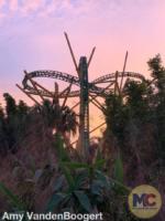 Busch Gardens Tampa Cheetah Hunt Dusk