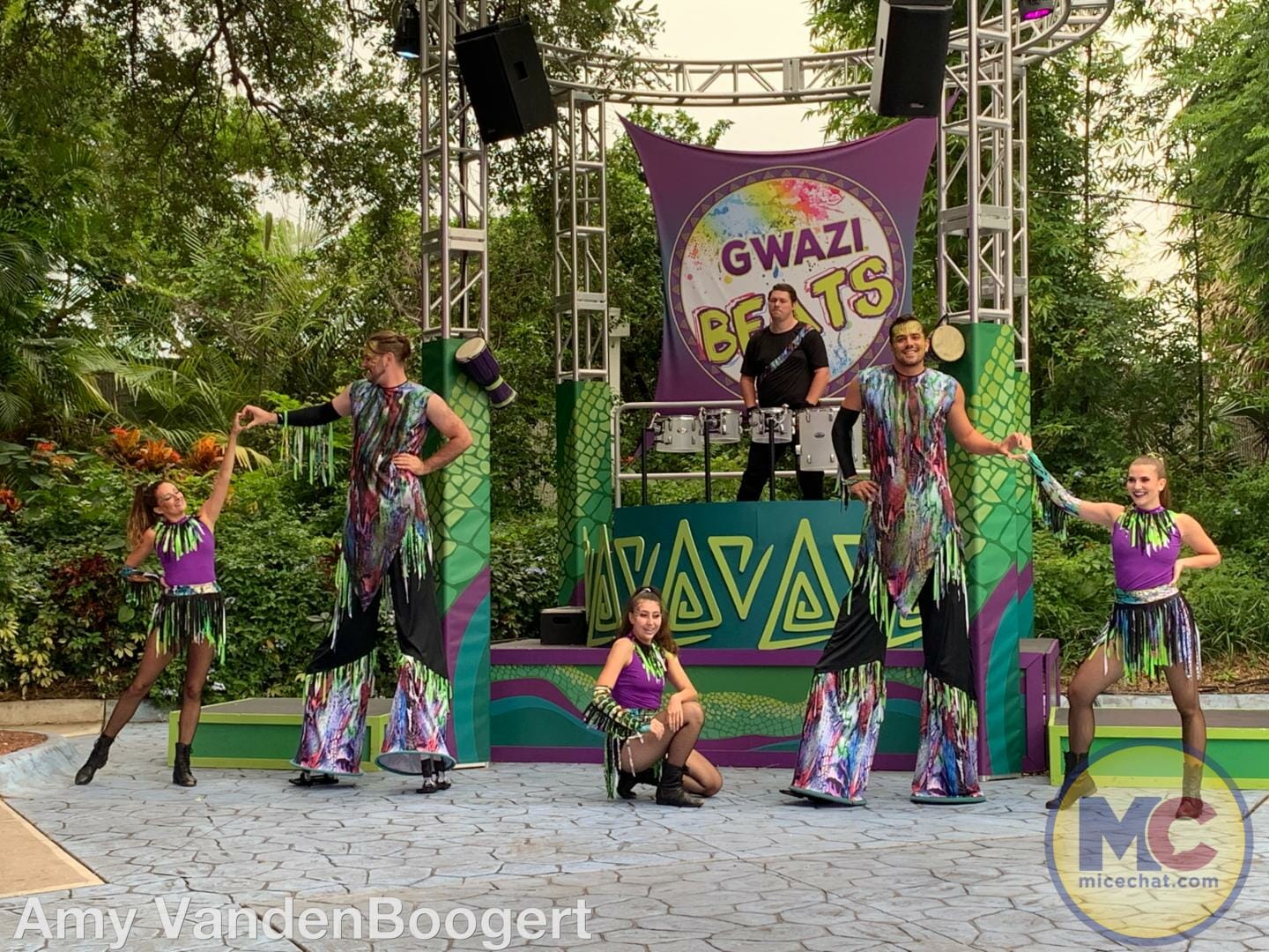 Busch Gardens Summer Celebration, Busch Gardens Tampa Summer Celebration Brings Electrifying Fun