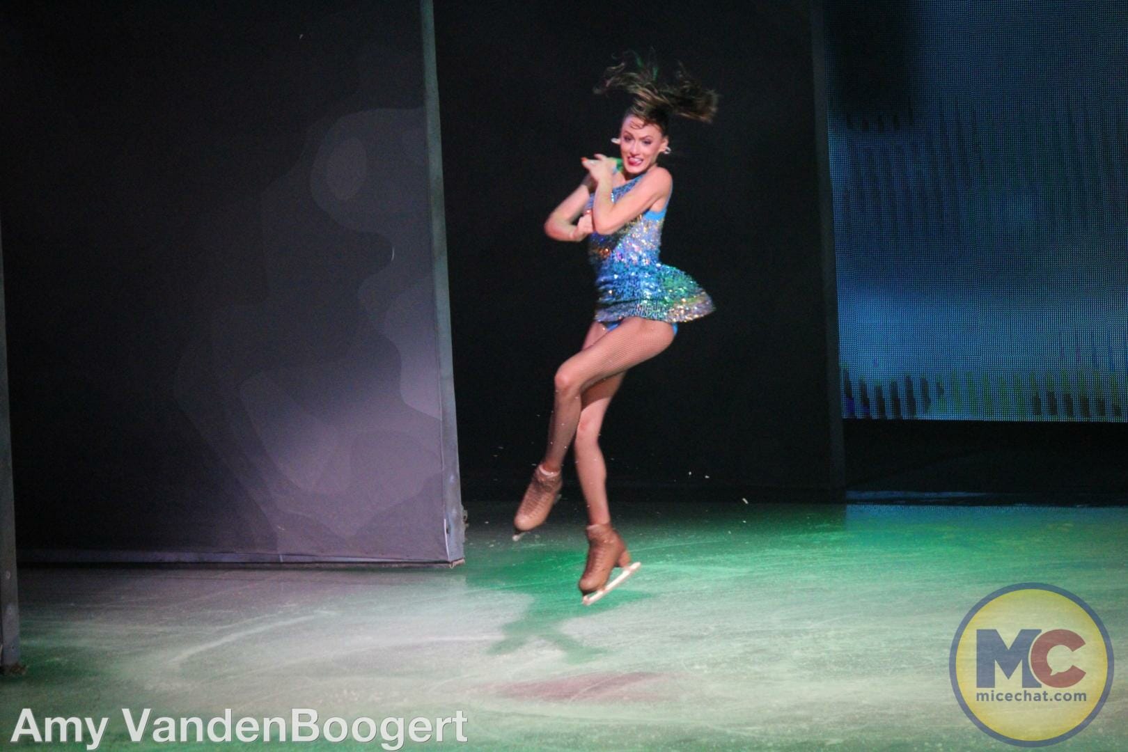 Busch Gardens Summer Celebration, Busch Gardens Tampa Summer Celebration Brings Electrifying Fun
