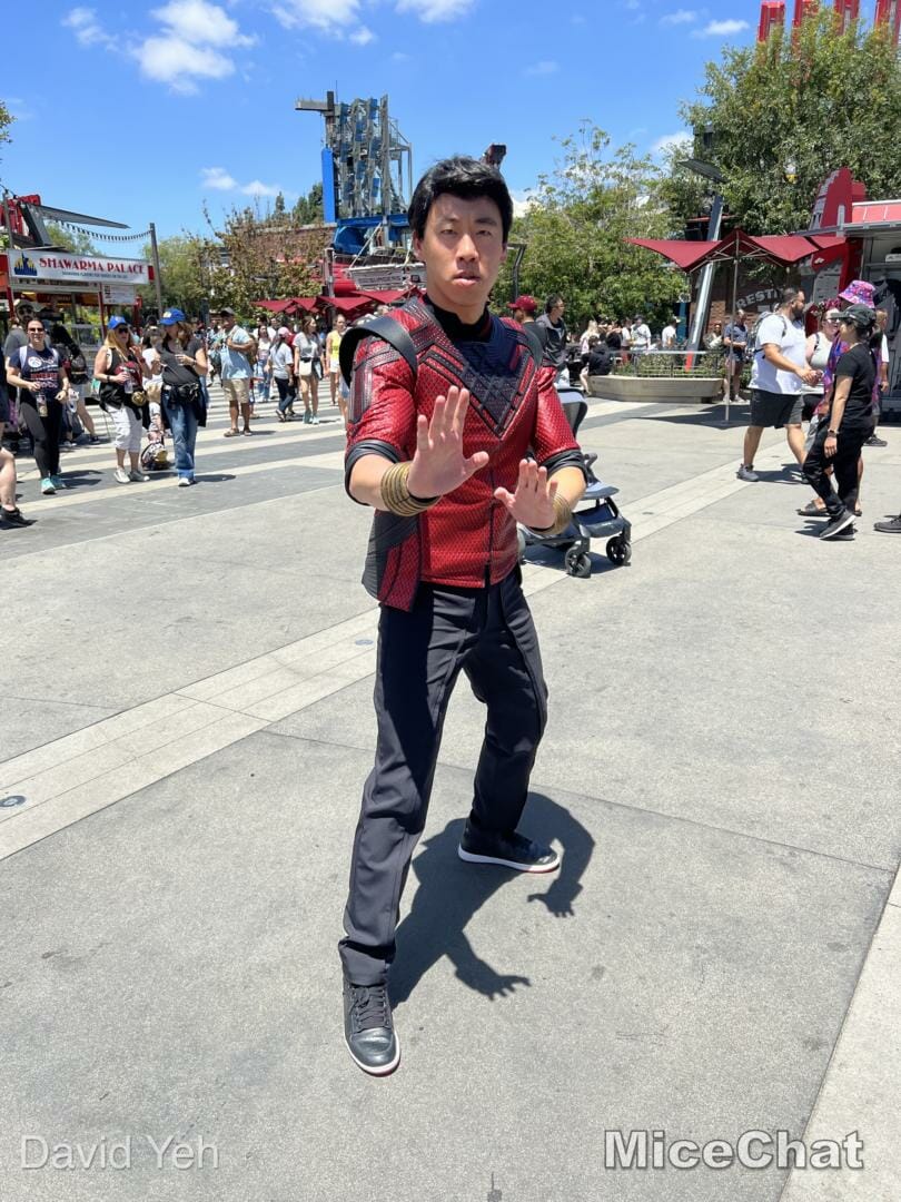 , Disneyland Update – Buzz Off, Moving Milestone & Preponderance of Projects