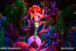 Disney California Adventure_Little Mermaid_Ariels Undersea Adventures-3965-2