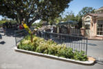 Disneyland Adventureland Tarzans Treehouse refurbishment construction Encanto DSC_7649-4K