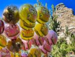 Disneyland Balloons Easter 3-micechat