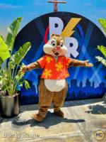 Disneyland Characters Rescue Rangers 1-micechat