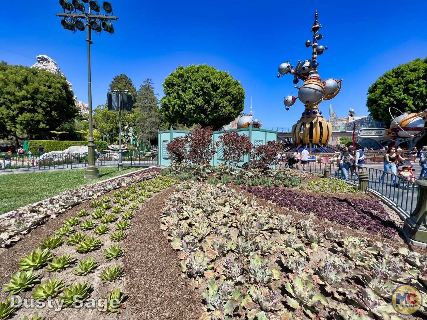 , Disneyland Update &#8211; Buzz Off, Moving Milestone &#038; Preponderance of Projects