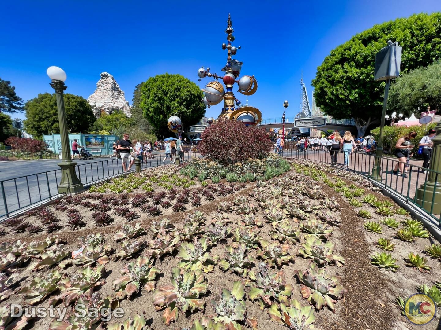 , Disneyland Update – Buzz Off, Moving Milestone & Preponderance of Projects