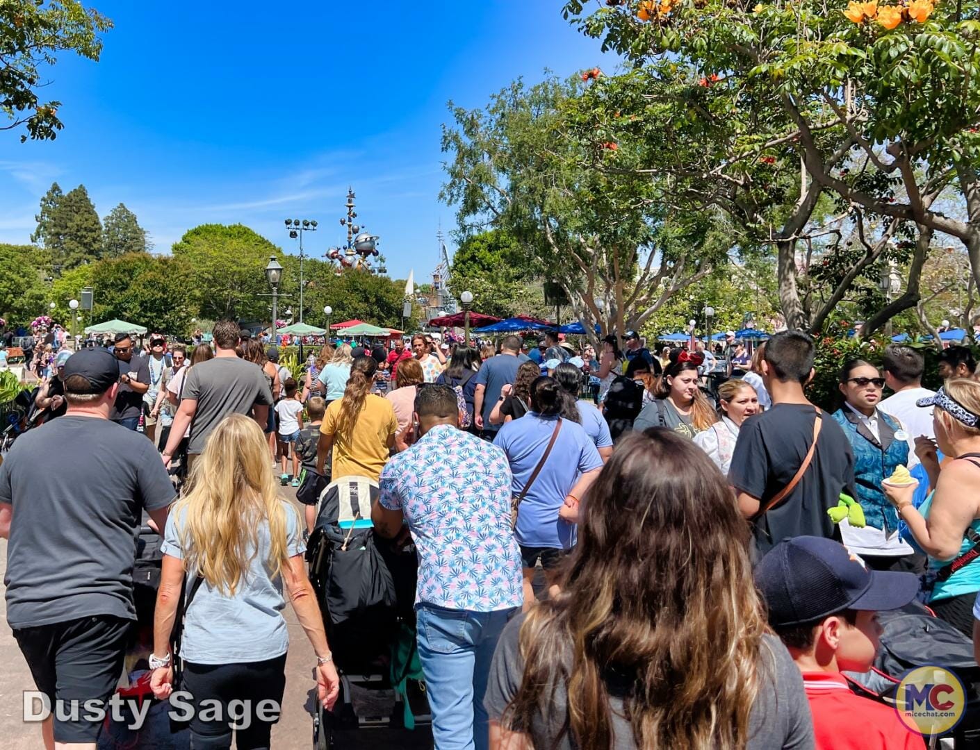 , Disneyland Update – Poison Apples, Summer Crowds, Spider-Fail