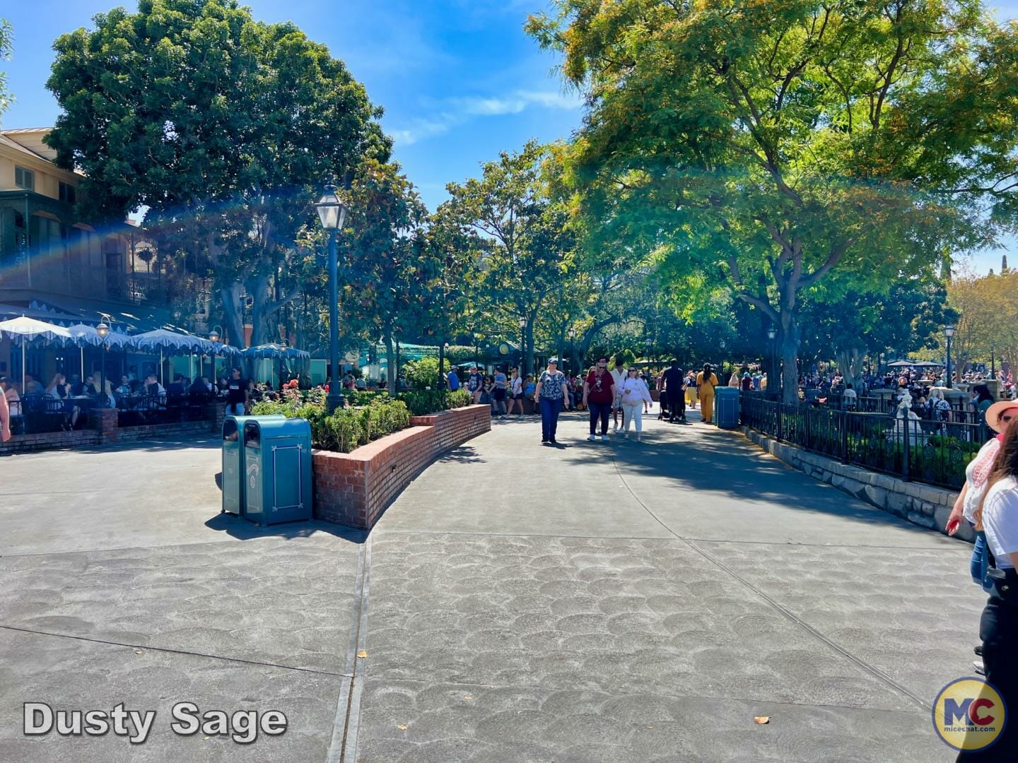 , Disneyland Update – Poison Apples, Summer Crowds, Spider-Fail