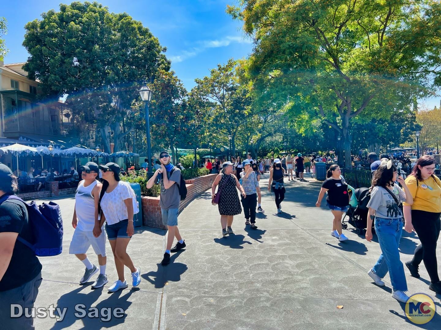 , Disneyland Update – Poison Apples, Summer Crowds, Spider-Fail