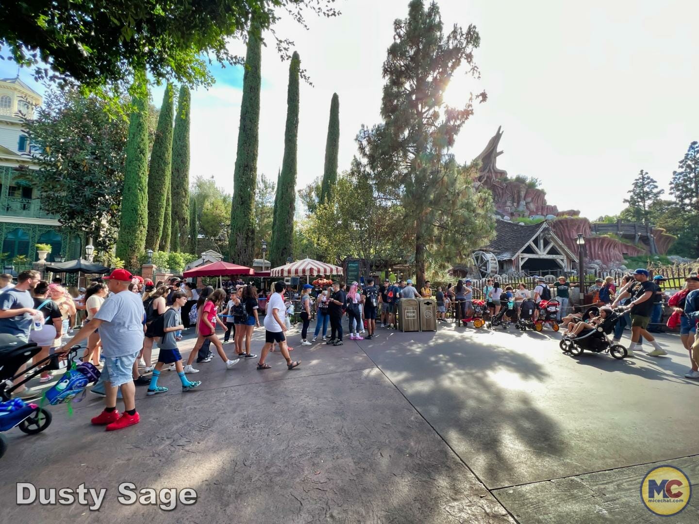, Disneyland Update – Poison Apples, Summer Crowds, Spider-Fail