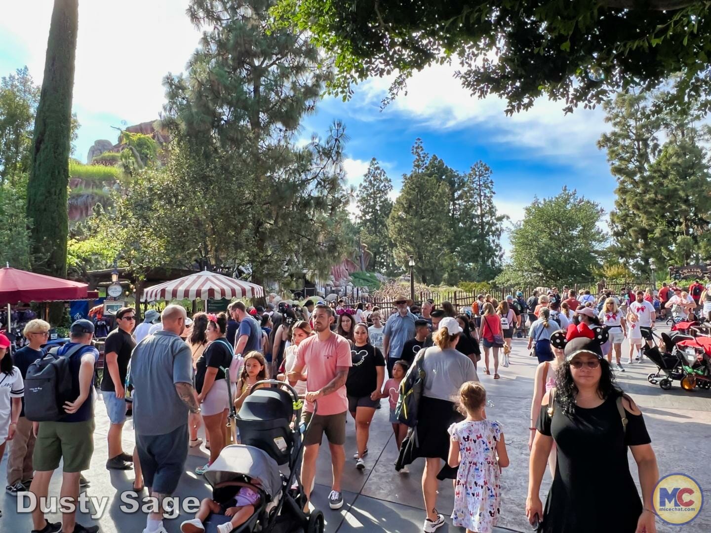 , Disneyland Update – Poison Apples, Summer Crowds, Spider-Fail