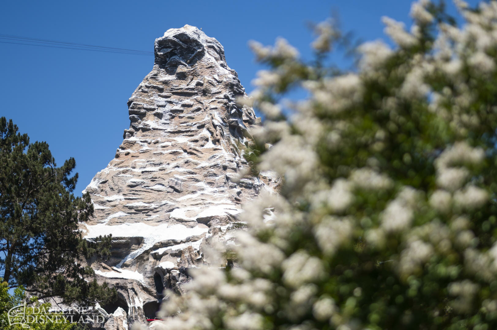 Disneyland, Dateline Disneyland: Mercury Climbs, Crowds Thin, and a Musical Tradition Returns