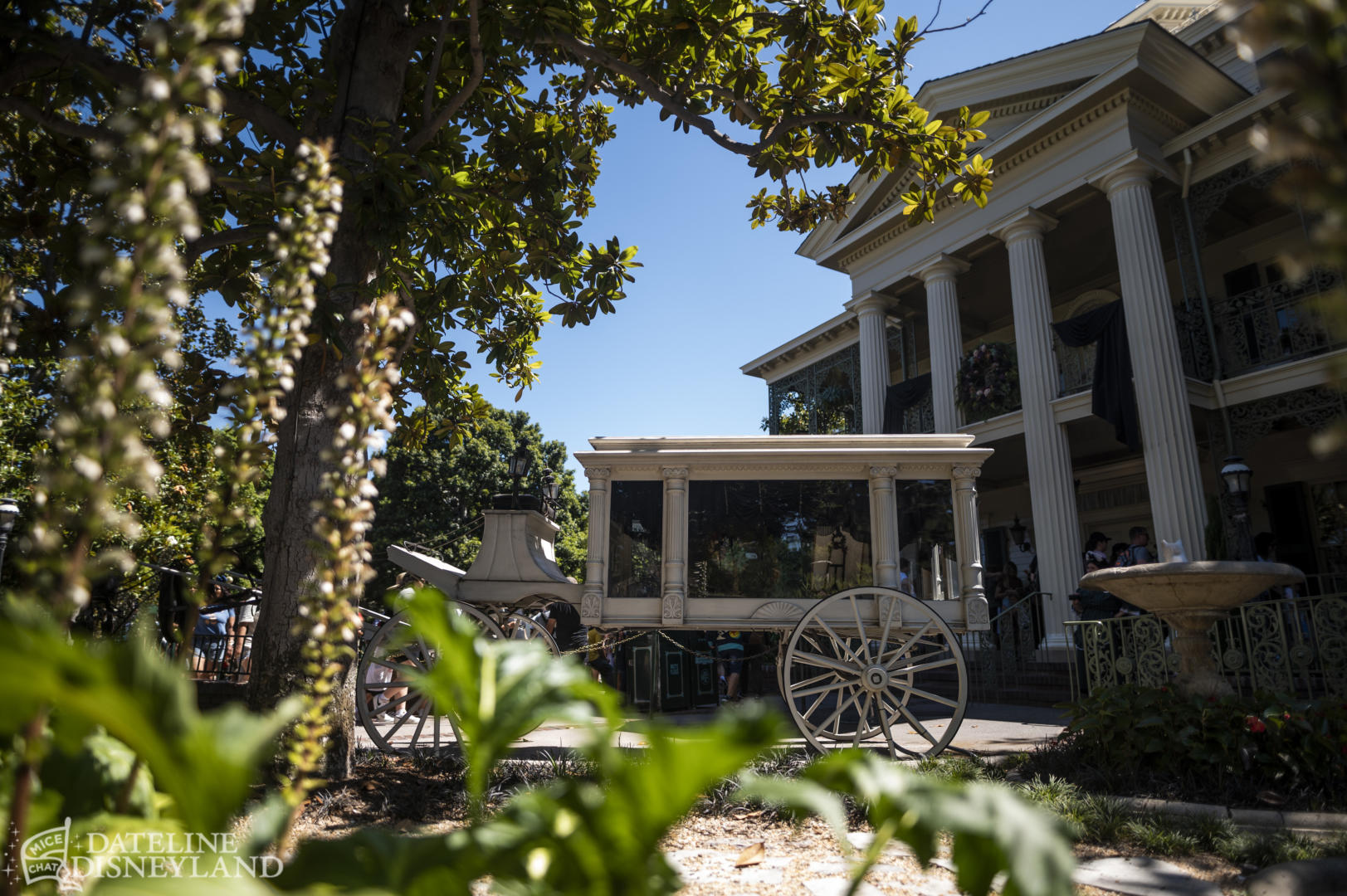 Disneyland, Dateline Disneyland: Mercury Climbs, Crowds Thin, and a Musical Tradition Returns