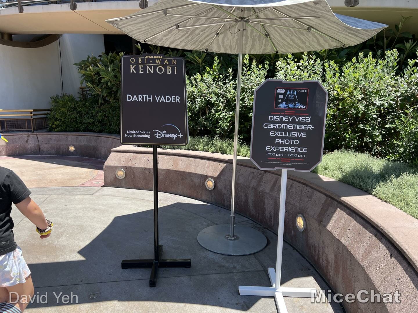 , Disneyland Update – Poison Apples, Summer Crowds, Spider-Fail