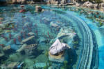 Disneyland Tomorrowland Finding Nemo Submarine Voyage refurbishment lagoon seals rock DSC_6803-X5